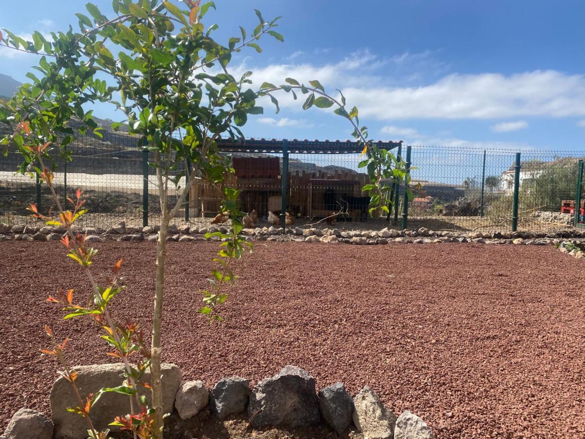 Guía de Isora Mini Casa Finca Arcoiris Tenerife מראה חיצוני תמונה