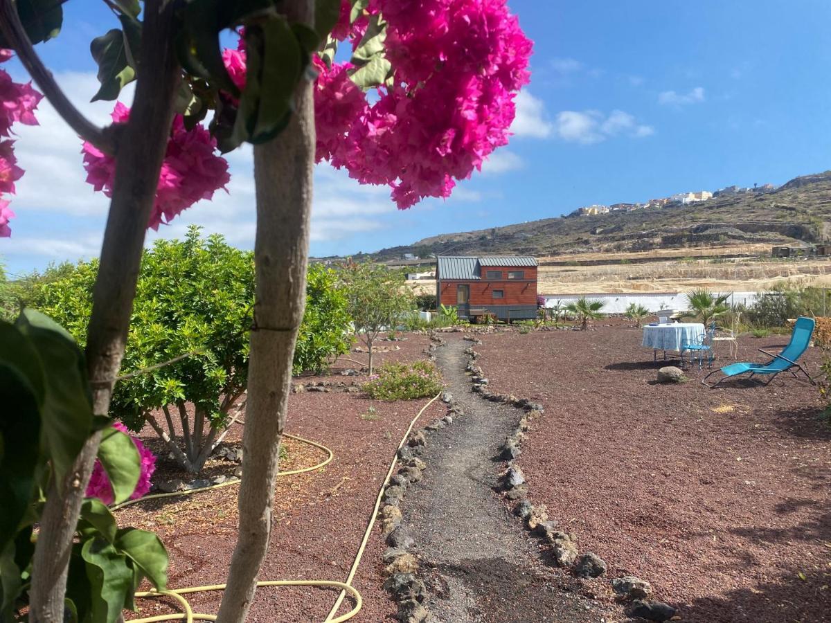 Guía de Isora Mini Casa Finca Arcoiris Tenerife מראה חיצוני תמונה