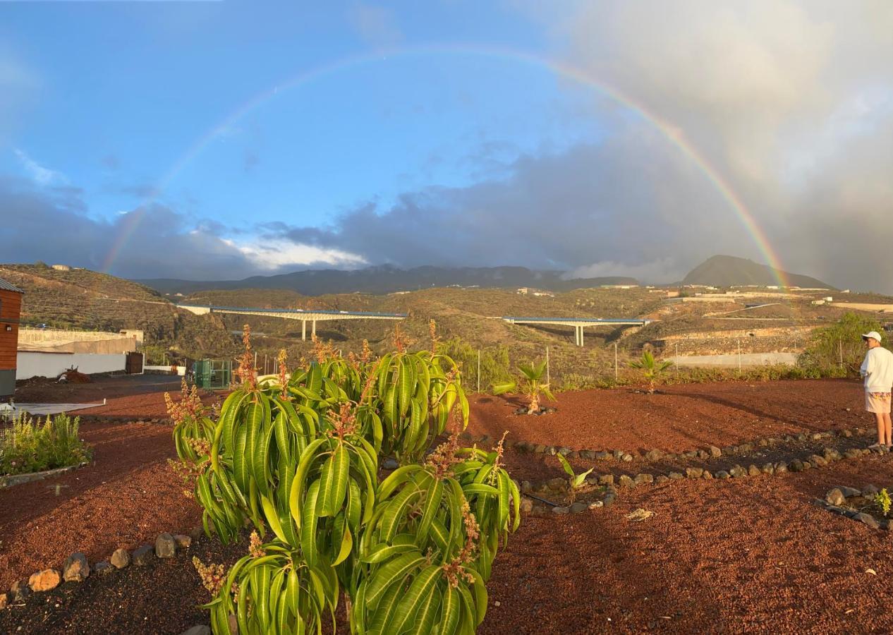 Guía de Isora Mini Casa Finca Arcoiris Tenerife מראה חיצוני תמונה